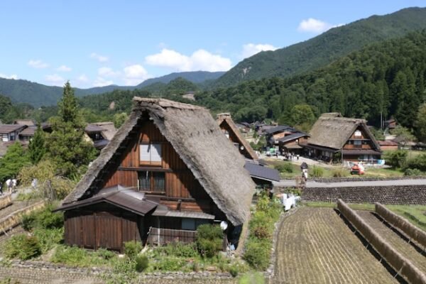 11-Day Alpine Route Tour